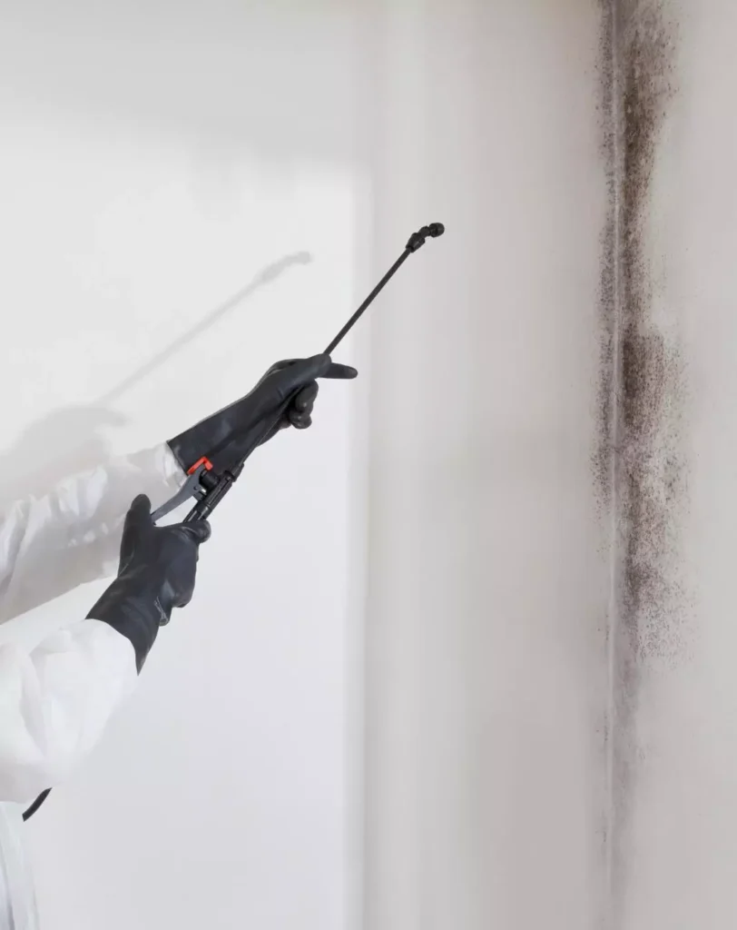 Black Mold Cleaning Sacramento