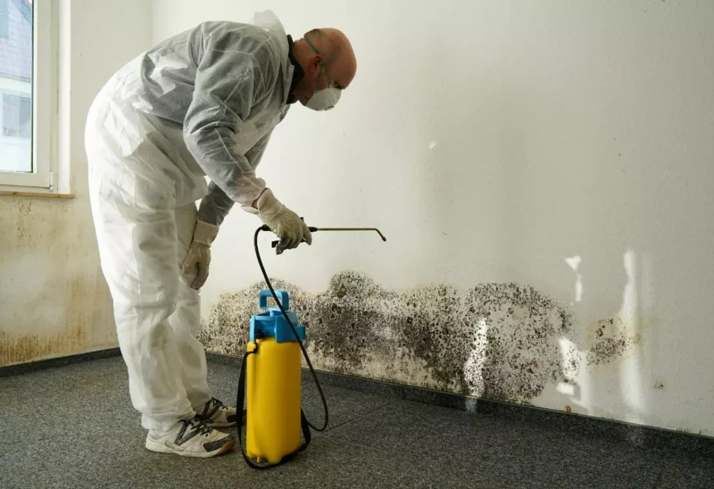 Black Mold Remediation Sacramento
